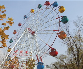 top ferris wheel ride manufacturer