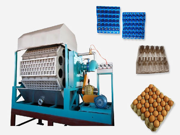 automatic egg tray making machine for sale