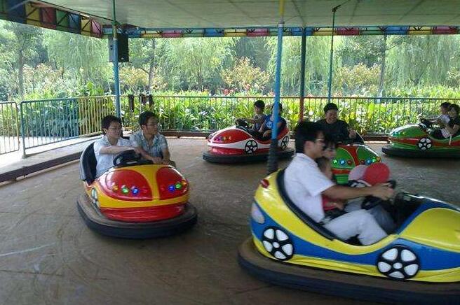 Professional manufacturer of kiddle rides, bumper cars for sale